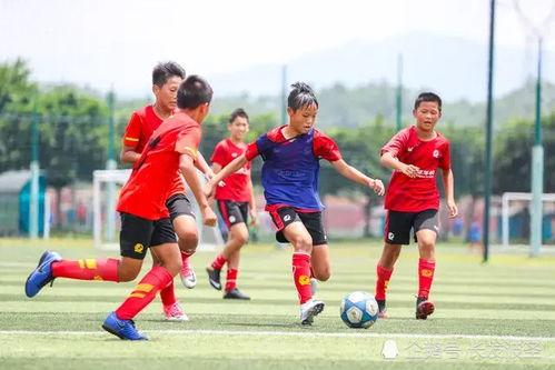 恒大足校爆料最新消息,揭秘校园足球发展新动态